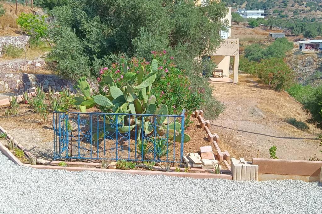 Το Σπίτι Που Σε Ταξιδεύει Villa Agia Galini Екстериор снимка